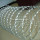 Hot Dipped Galvanized Concertina Razor Wire BTO-22